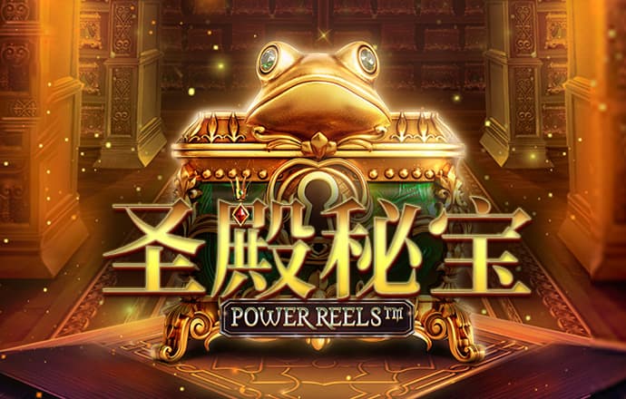 乖乖猪世界09贺岁版